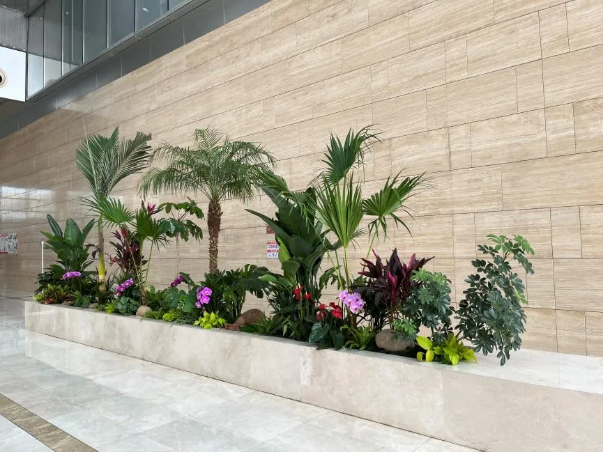 宁波江北盆景租摆专业，绿植艺术新体验